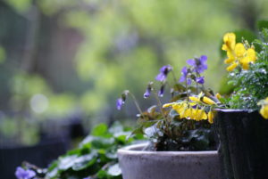 recycling water outdoors